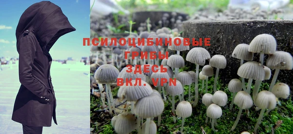 мяу мяу мука Армянск