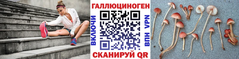 kraken зеркало  Удачный  Галлюциногенные грибы Psilocybe  даркнет сайт 